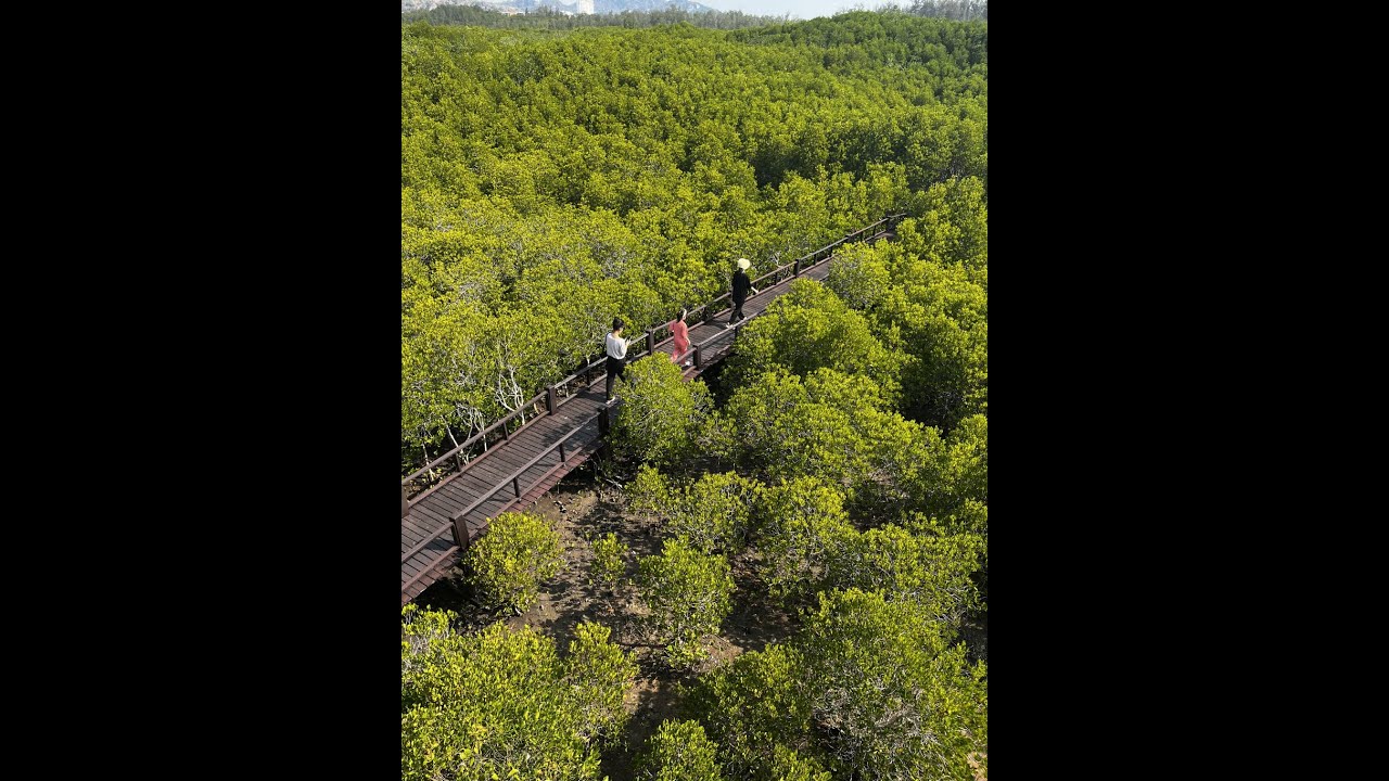 Hua Hin Places to Visit Pran Buri Forest Park FULL VER(태국 후아힌 여행지 가볼만한 곳 프란부리 포레스트 파크 풀버전)