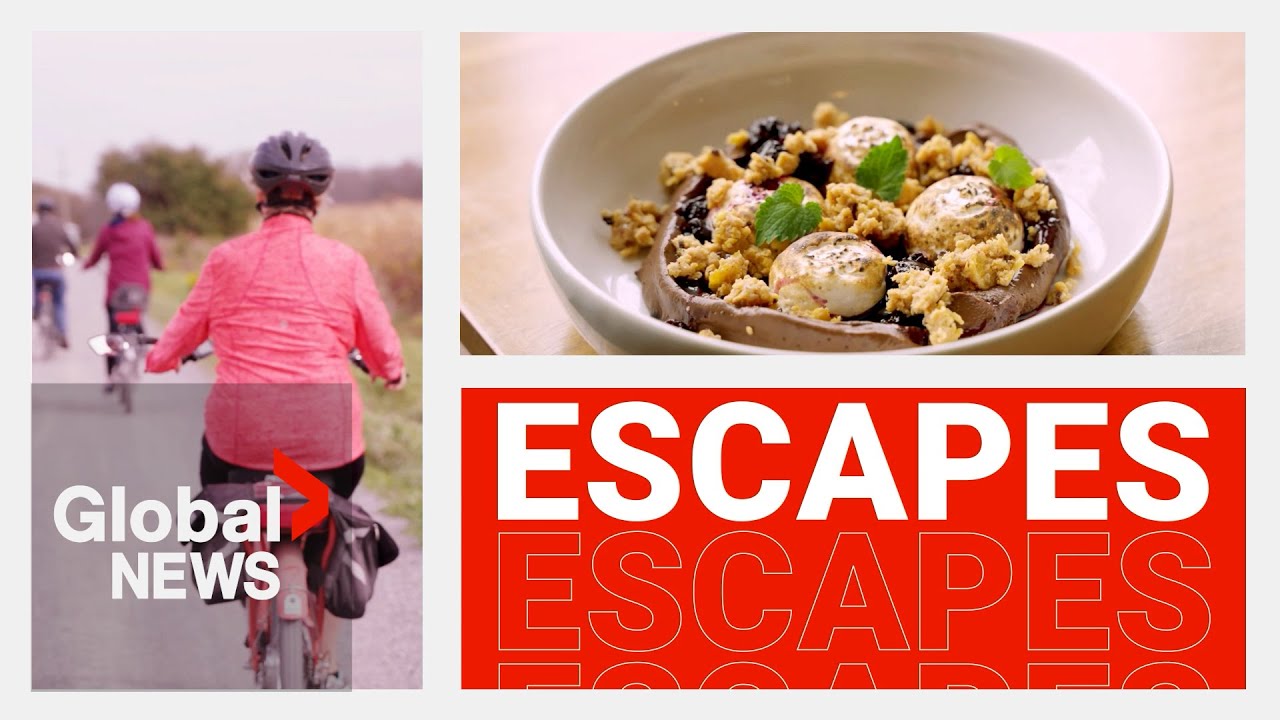 Local Escapes: Must-visit spots in Prince Edward County during the fall