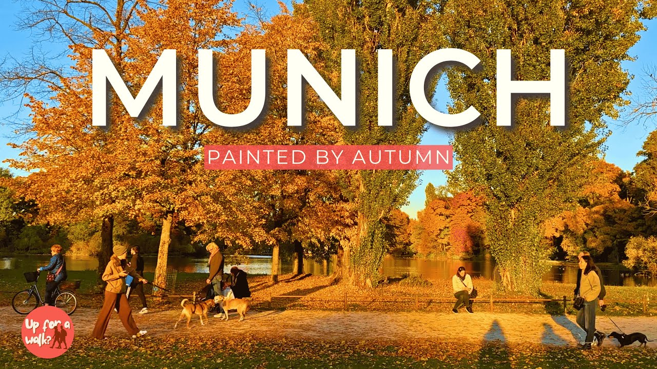 Munich in Autumn | A Walk Covered in Golden Leaves