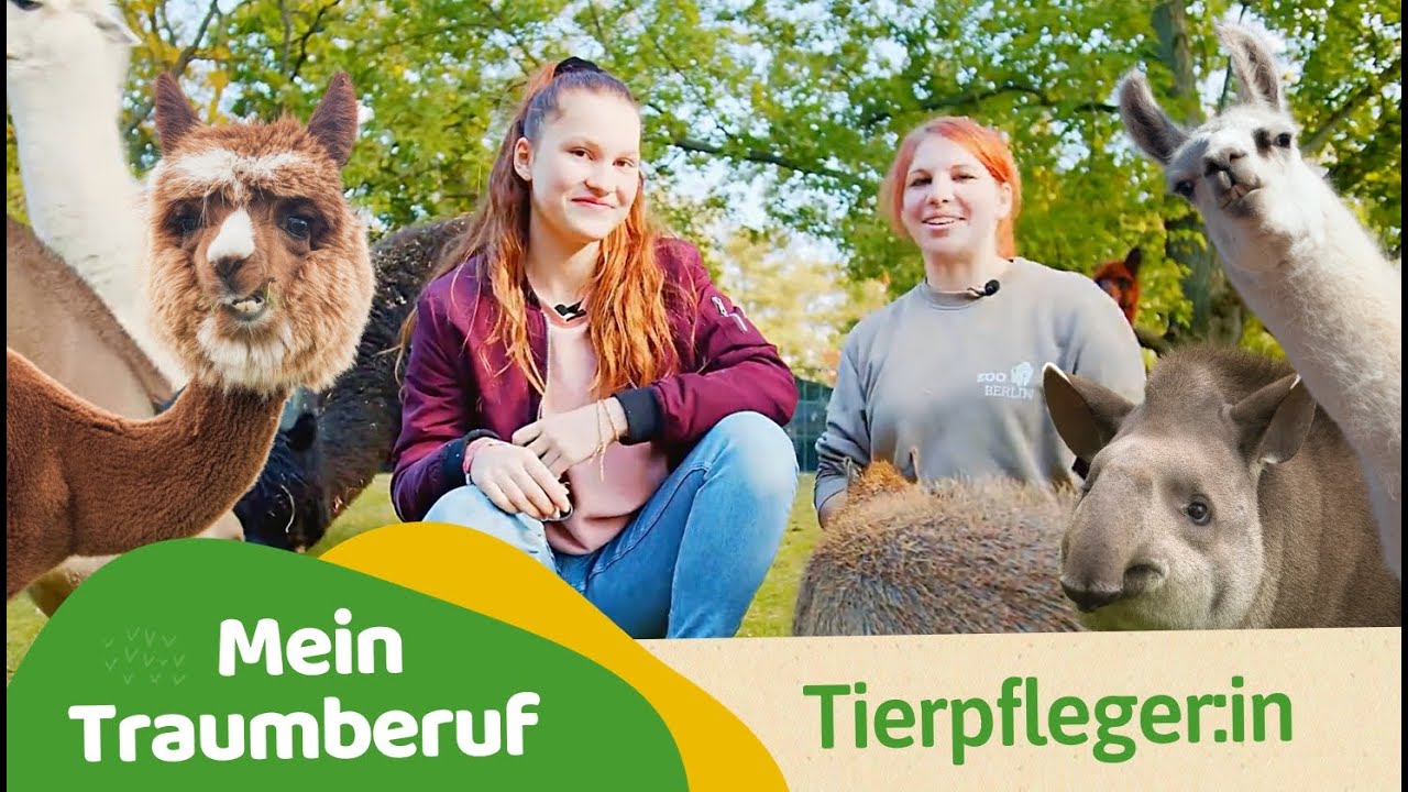 Tiere hautnah: Die Welt der TierpflegerInnen l Kinderdoku
