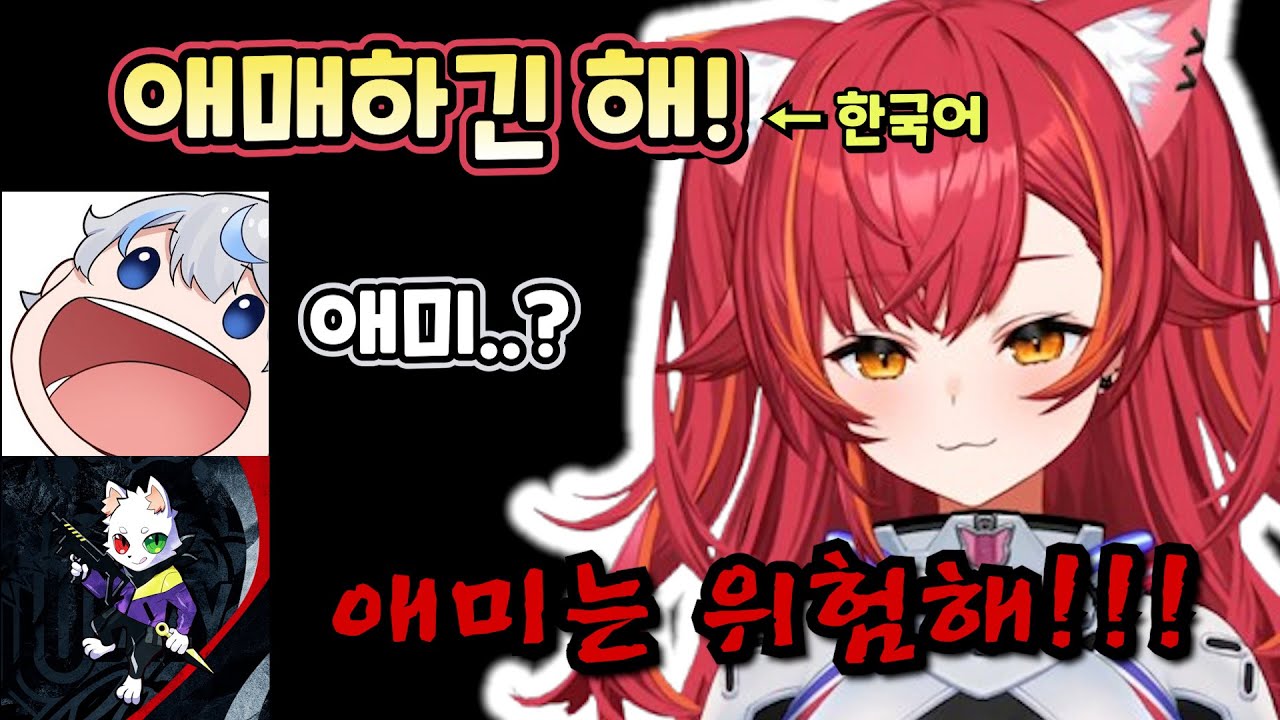 츠나와 라스의 한국어 강의 교실ㅋㅋㅋ  [브이스포/네코타 츠나]