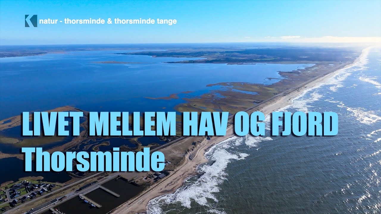 Thorsminde – livet mellem Vesterhavet og fjorden
