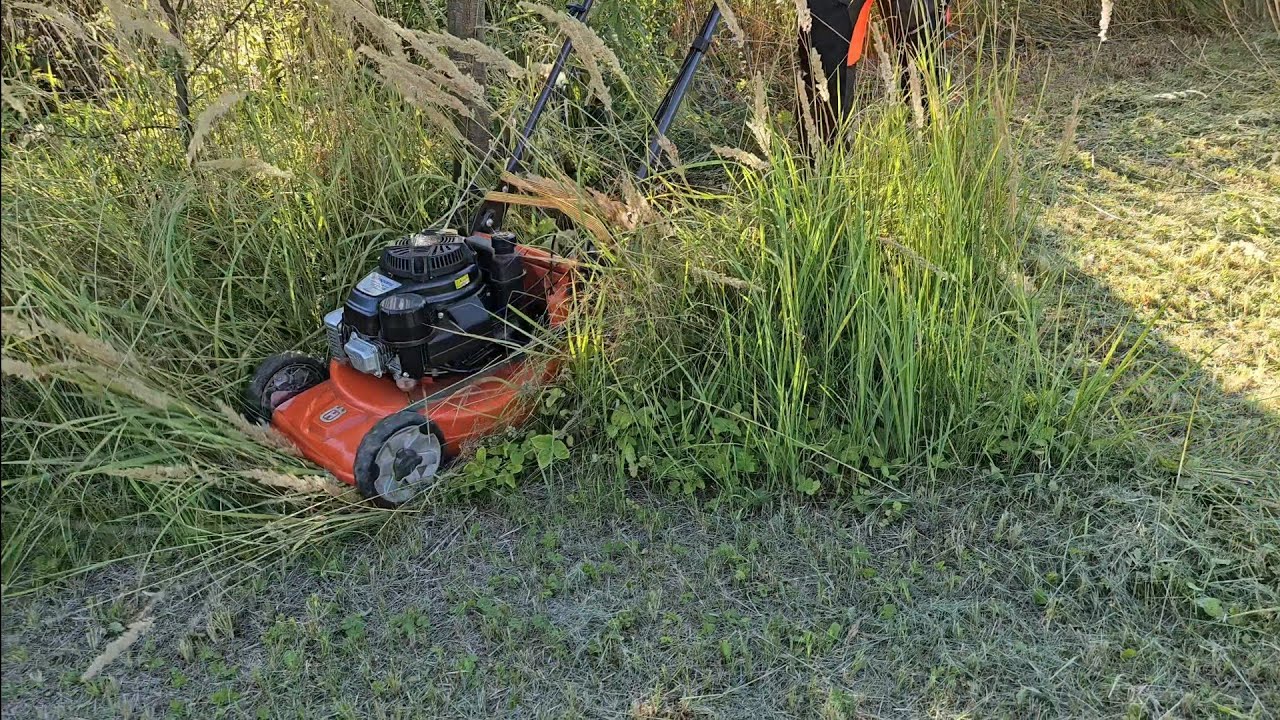 Husqvarna LC 551SP PROFESSIONAL  -  extreme grass cutting 