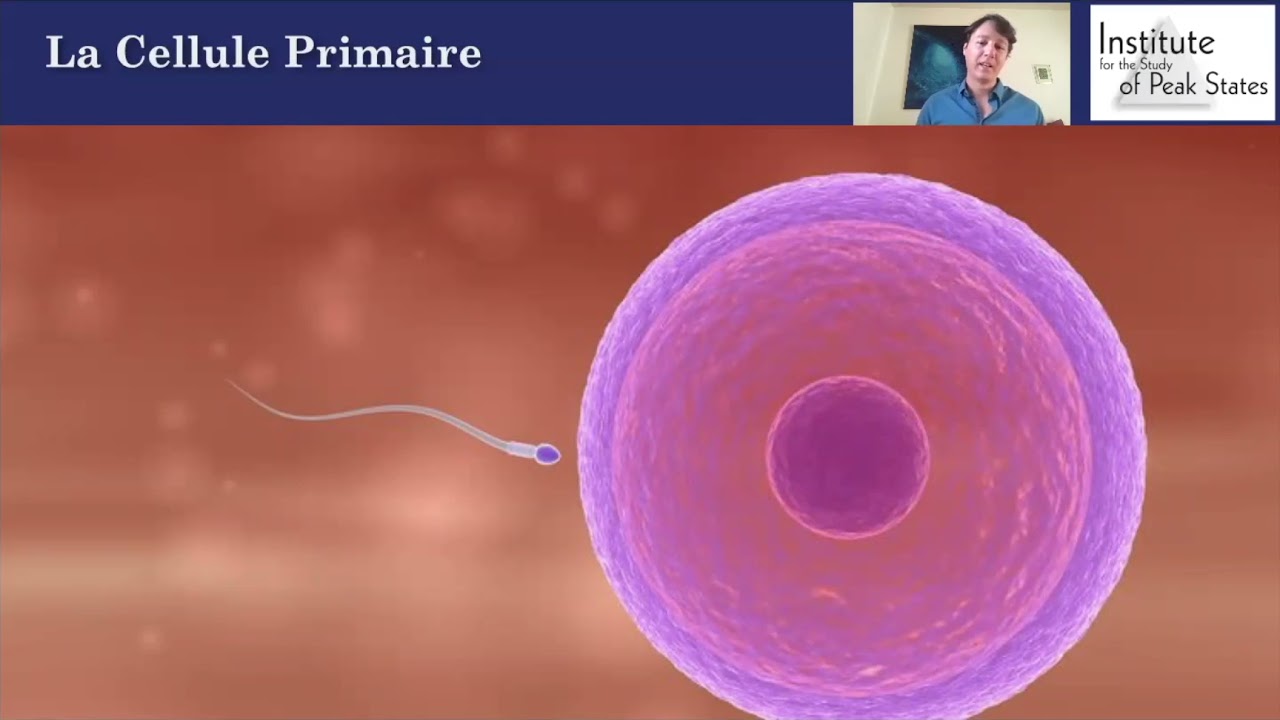 La Cellule Primaire qui dirige tout notre corps et notre psychisme :  psychobiologie subcellulaire