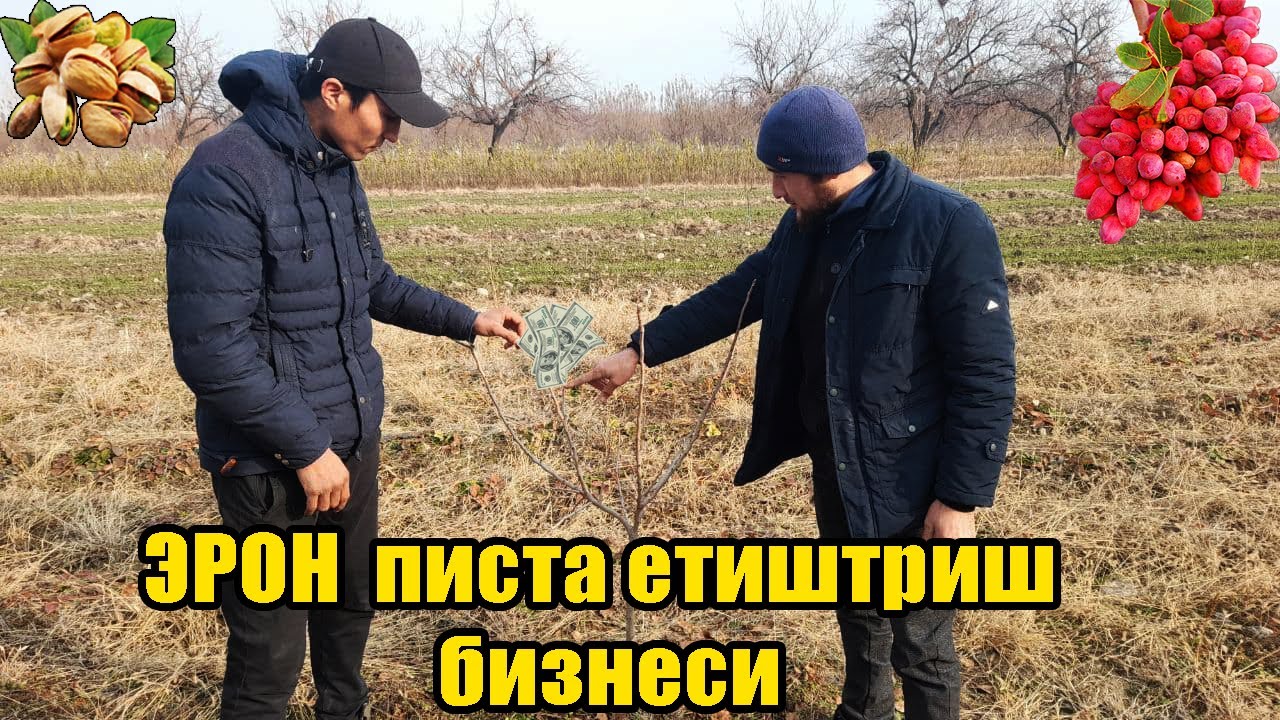 ЭНГ ДАРОМАДЛИ БИЗНЕС! ЎЗБЕКИСТОНДА 