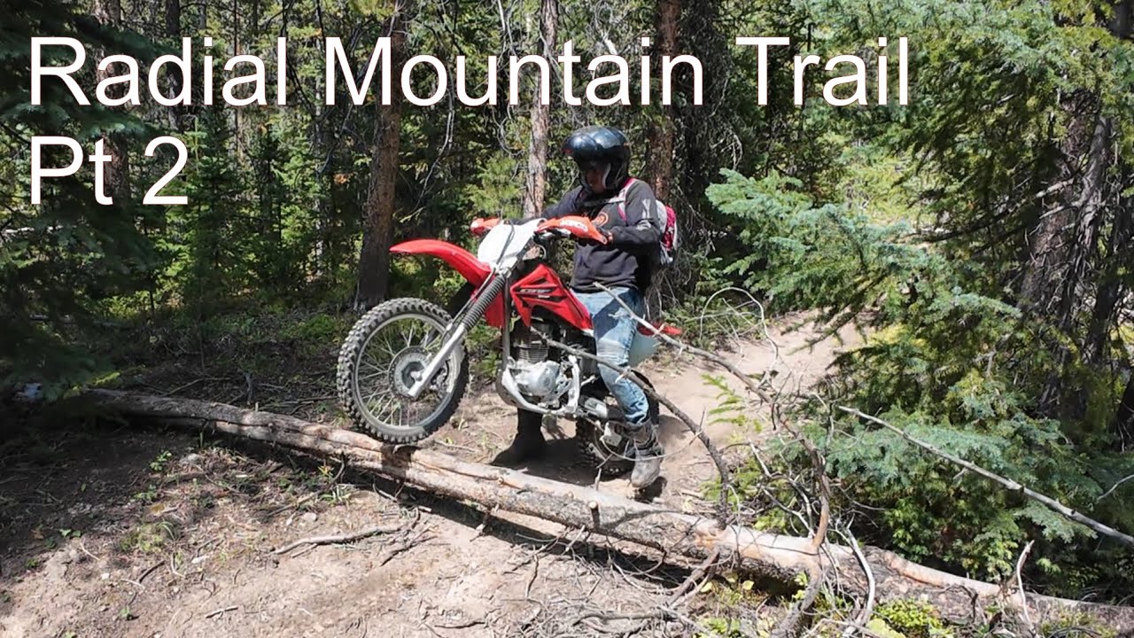 Radial Mountain Trail Aug 2025 - Cam1 - Pt 2