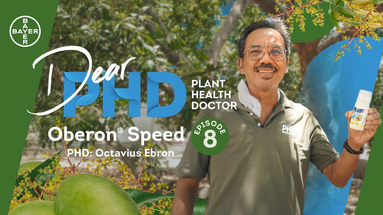Dear PHD Ep. 8 | Mango Series Part 2 (Oberon® Speed)