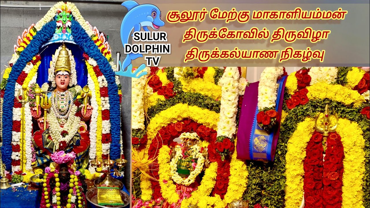 #சூலூர்#மேற்குமாகாளியம்மன் #திருக்கோவில்#திருவிழா #திருக்கல்யாணநிகழ்வு 2026