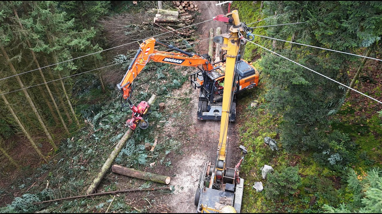 Bagger mit Woody Prozessor beim Holz 🇨🇭🪓🌲 an der Seilbahn mit Forstunternehmen Bernet & Mathys