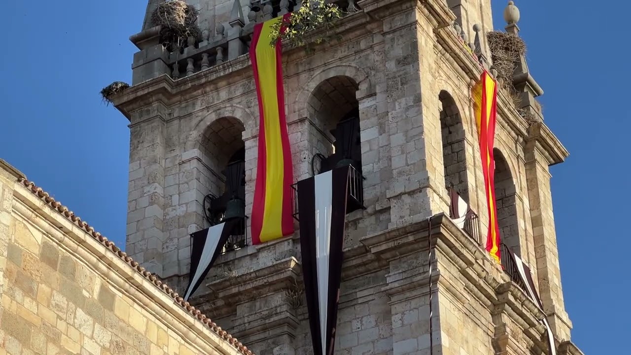 Doble volteo general de campanas catedral de Alcalá de Henares: Salida virgen del Carmen Coronada