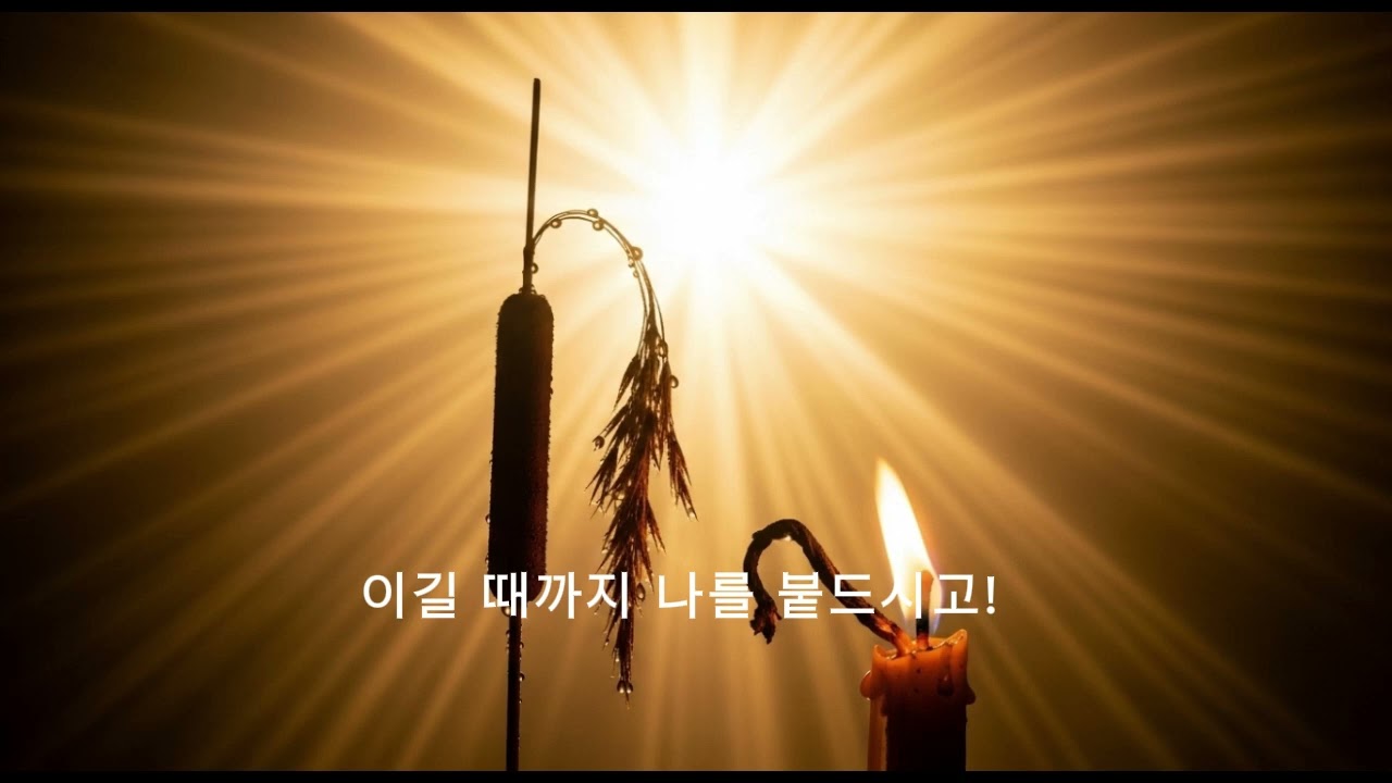 목자의 마음