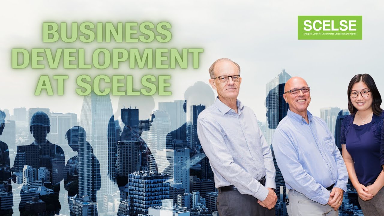 Business Development at SCELSE