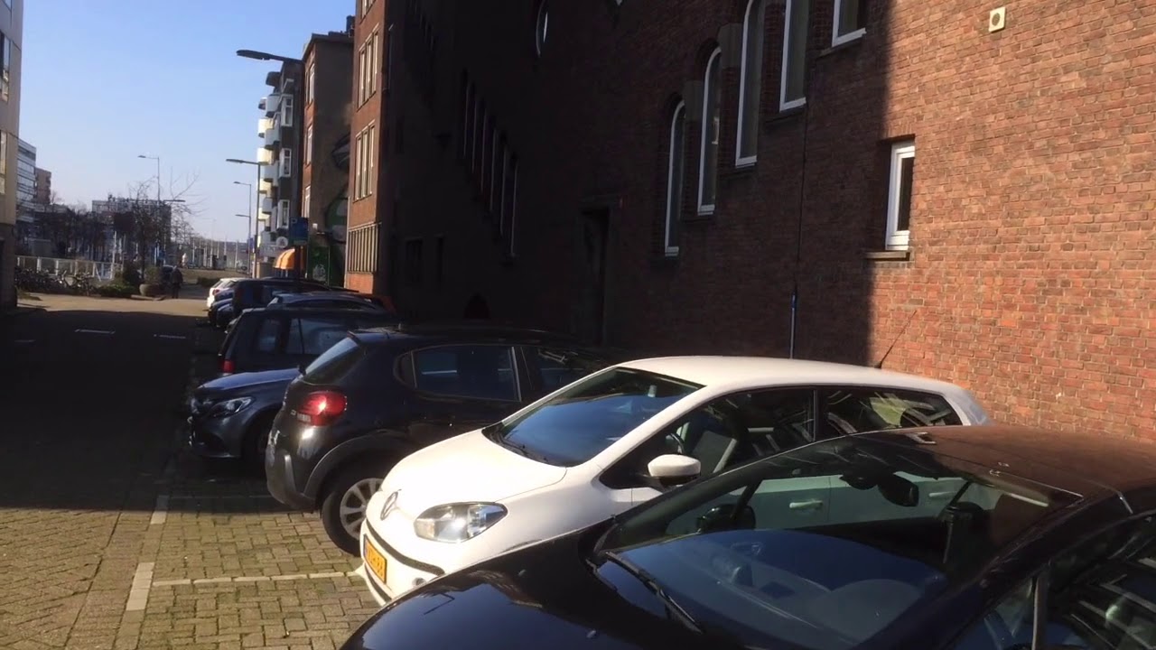 Op zoek naar de ziel van Rotterdam