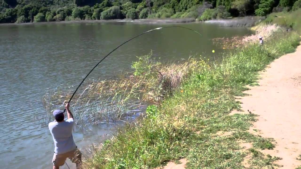 Casting a Bolognese European Fishing Rod