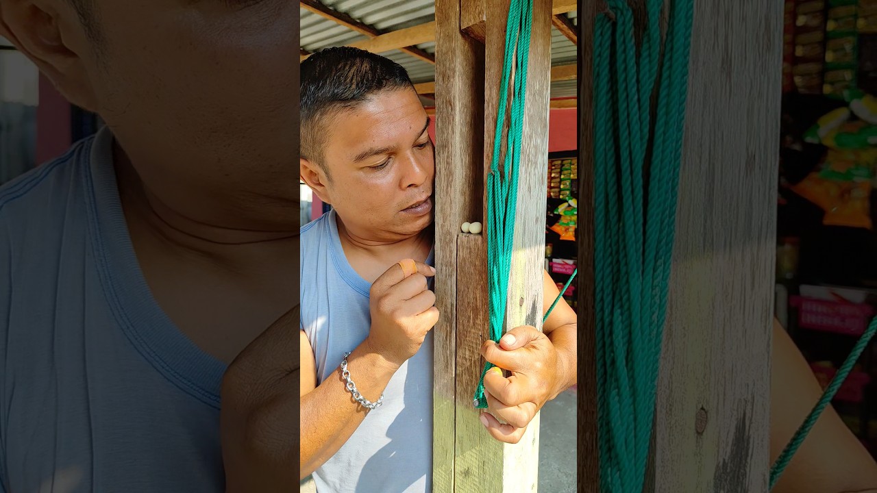 Ha..Telur Angsa? #shorts #viral #funny #trending