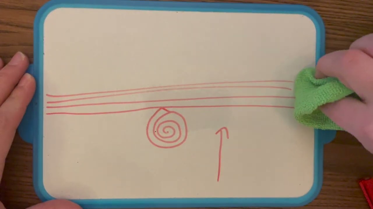 Hoe ontstaan fossielen?