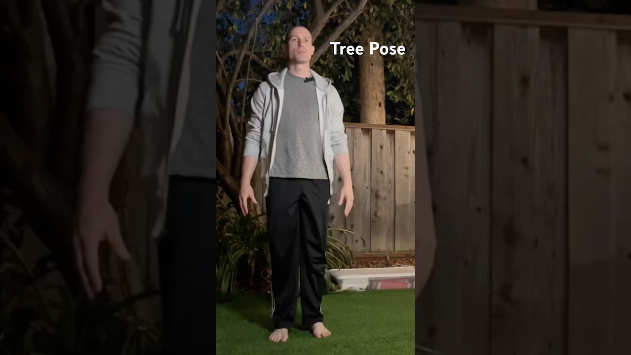 Tree Pose for balance and stability&hellip; 🌳 #treepose #yoga #yogapractice