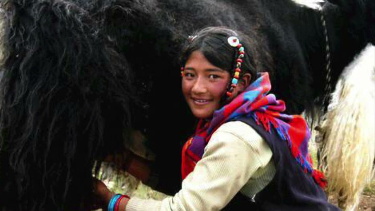 Tibetan love song/ Shambala Girl, ཤམ་བྷ་ལ་ཡི་བུ་མོ/ཐེ་བོ་ལྷུན་གྲུབ/  By Thewo Lhundup