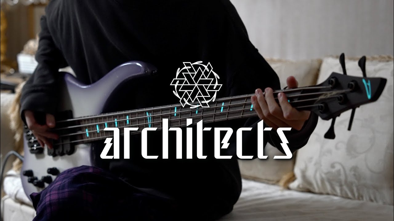 architects - 