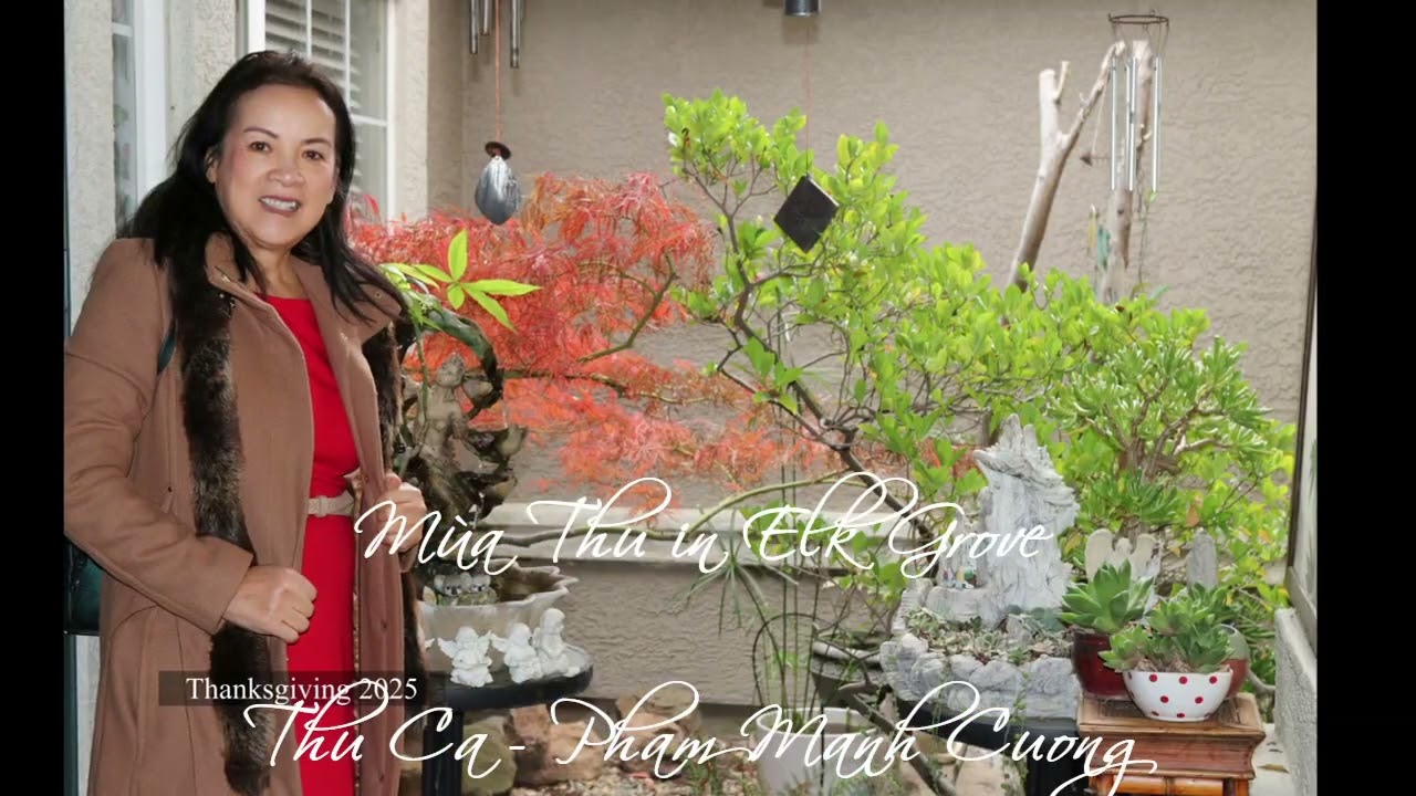 Thu Ca- Phạm Mạnh Cương  - Mua Thu in Elk Grove #fall #autumn #thuca #phammanhcuong