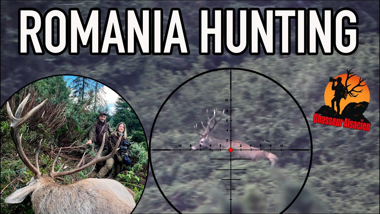 CHASSE AUX CERFS DANS LES CARPATES - CARPATHIAN HUNTING 2025