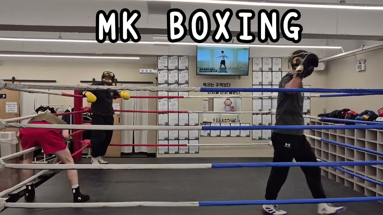 스파링🥊