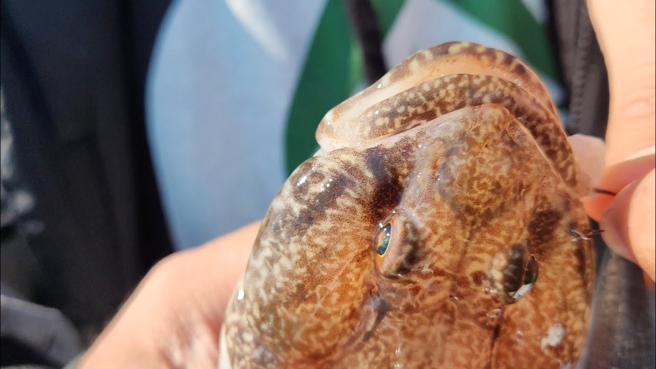 ТРИДНЕВЕН РИБОЛОВ на ЧЕРНО МОРЕ! ЛЕТЯХ с ДРОНА и СИ СЧУПИХ НОЖА :( !