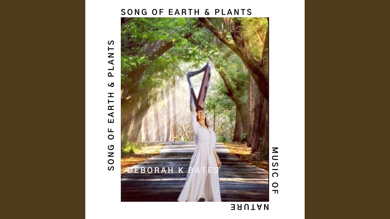 Hippie Hyacinth (Harp Version)