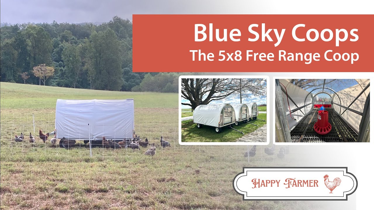 5x8 Layer Wagon for Chickens