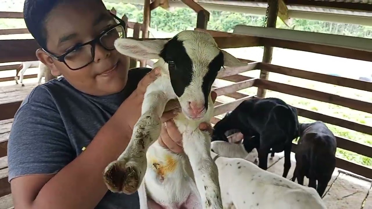 Limpando uma área para fazer uma rocinha de milho.🌽🌽🌽
