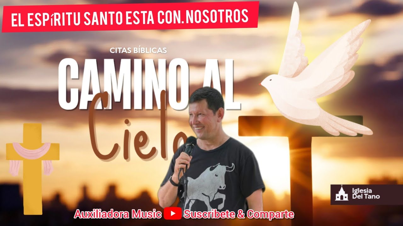 ¡ EL ESPIRITU SANTO ESTA CON LOS CATOLICOS!🕊- Padre Luis Toro lo Demuestra 😱🚨