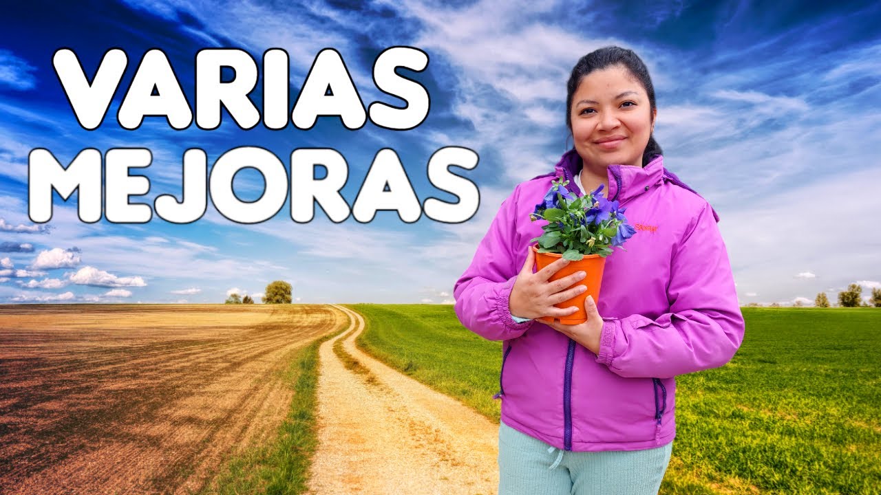 Seguimos mejorando nuestra Cabaña en la Naturaleza (Ep.185)