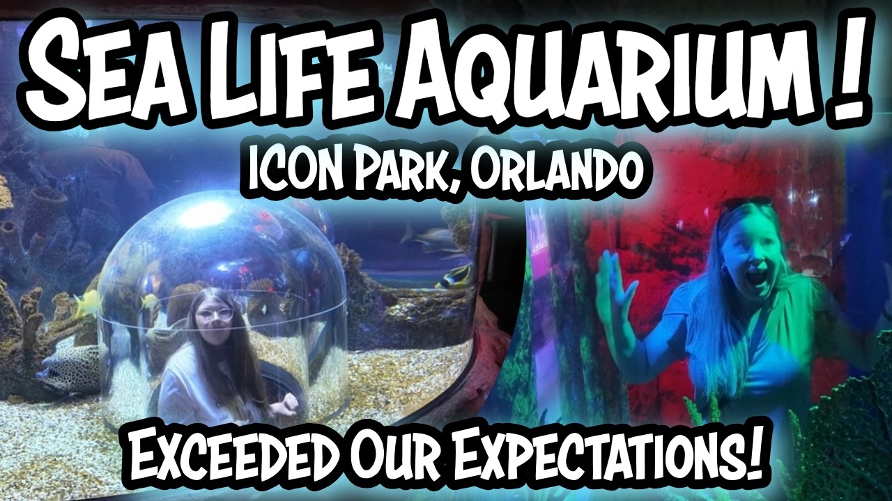 SEA LIFE Orlando Aquarium at ICON Park Surprised Us