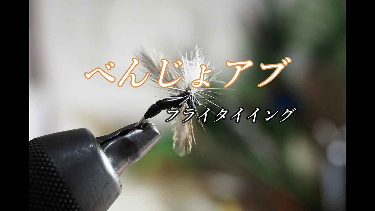 べんじょアブってどんな虫