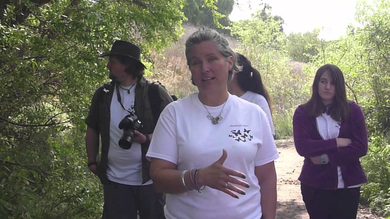 PV Blue Butterfly Release into Conservancy Restored Habitat