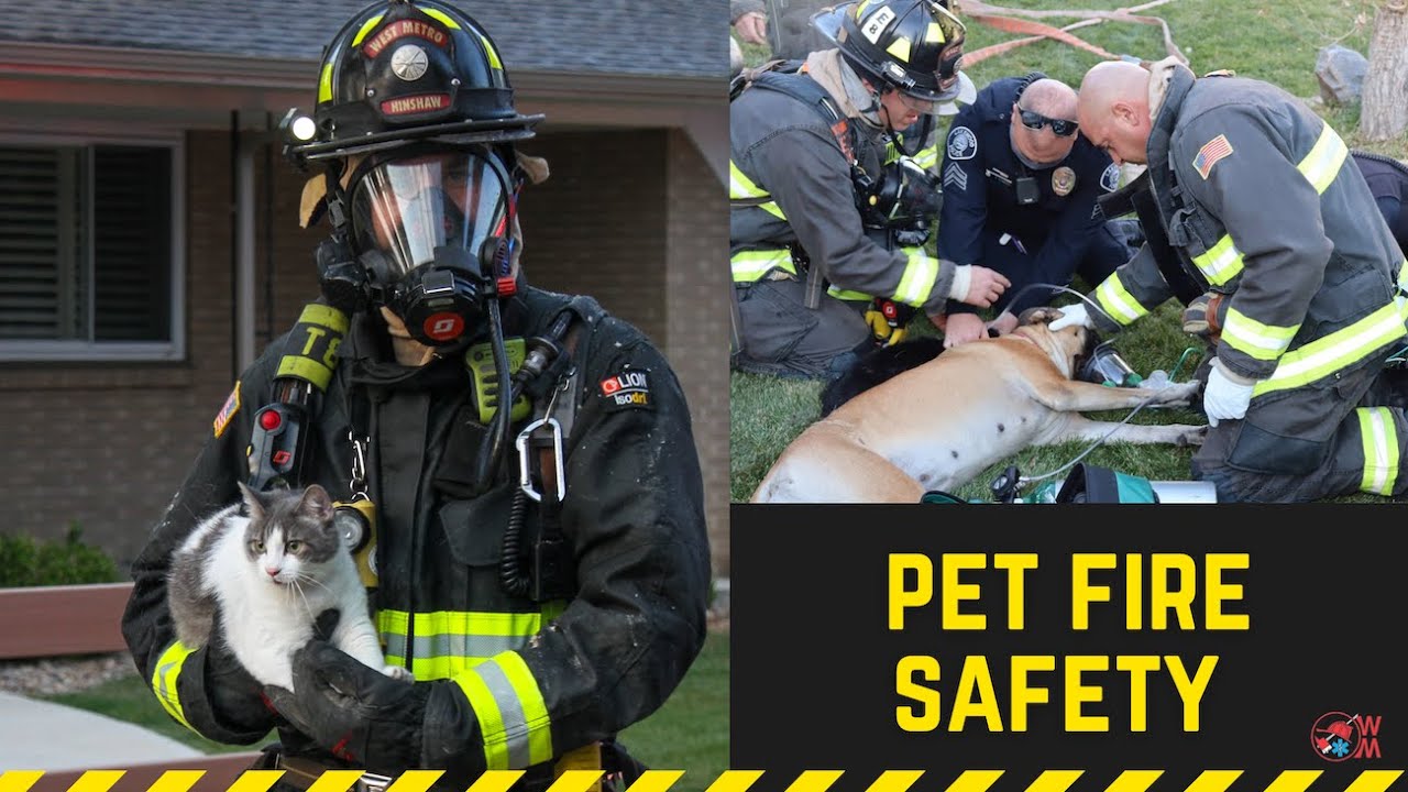 West Metro Fire Rescue: Pet Fire Safety