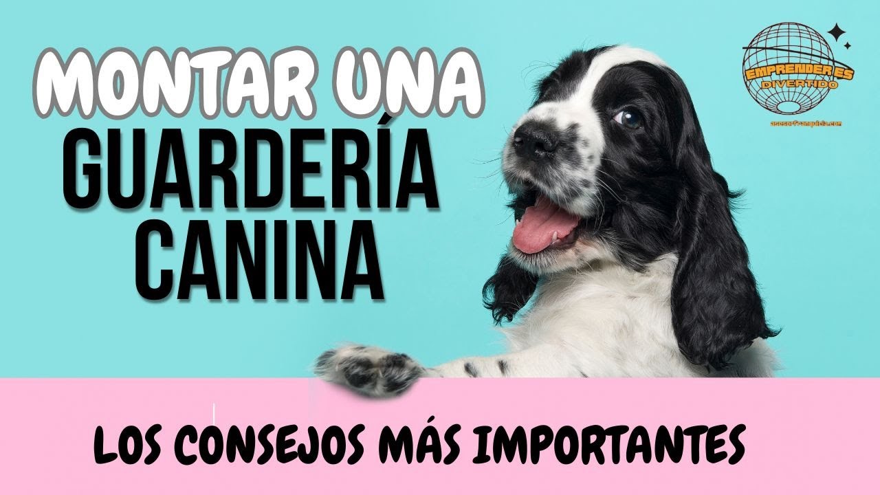 Monta Tu Propia Guardería Canina Rentable en 2024!