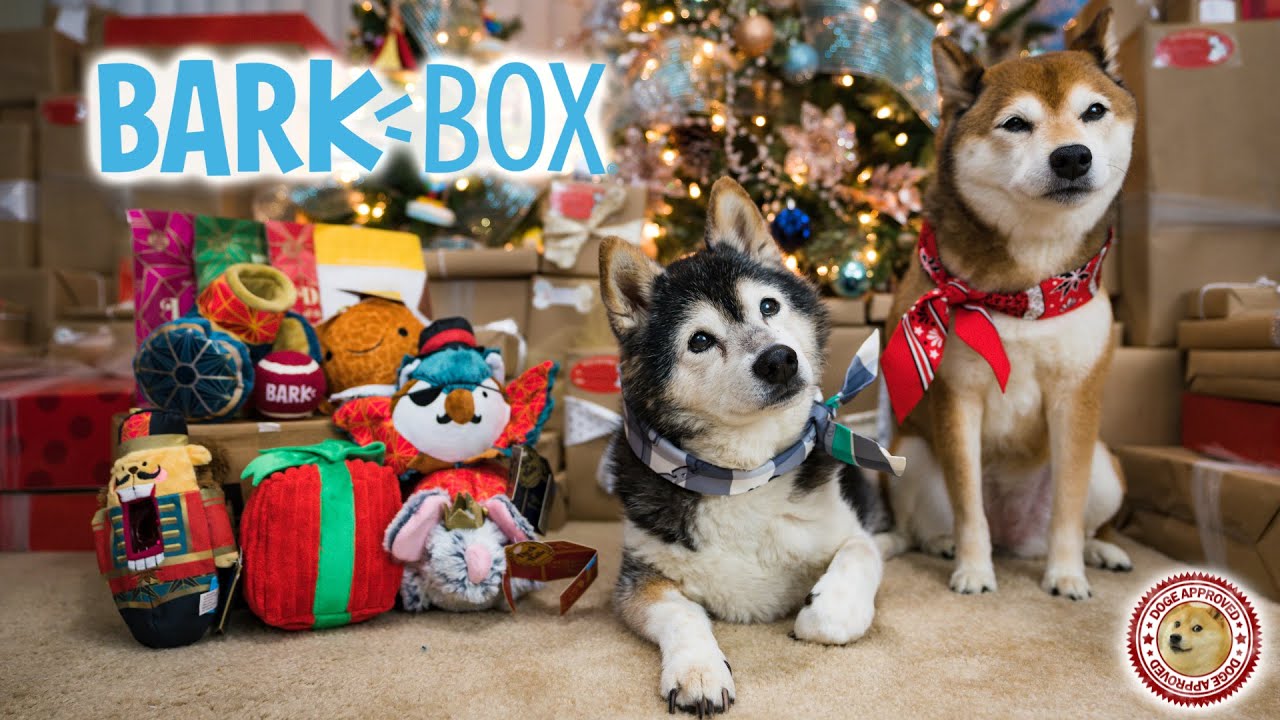 Unboxing the December 2019 BarkBox - The Muttcracker (Double Deluxe Box)