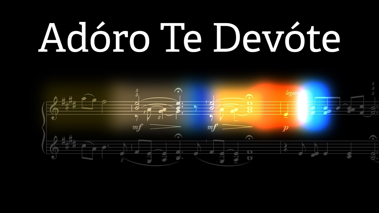 Ad&oacute;ro Te Dev&oacute;te: The DNA of Music