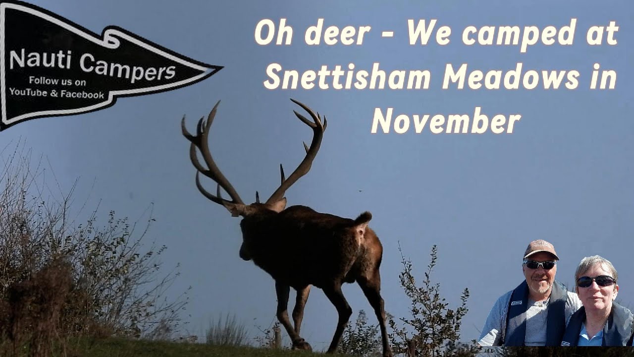 Snettisham Meadows Camping & Glamping