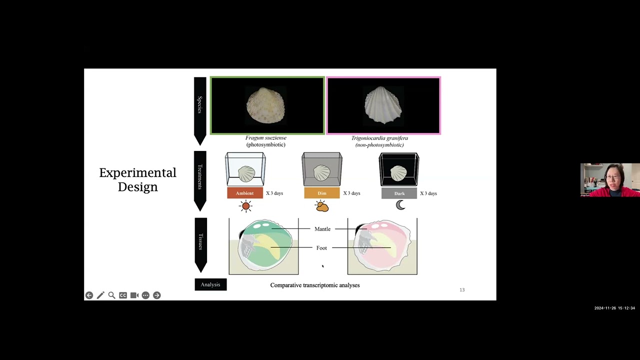 The unusual genomes of solar-powered animals - MEEGene 26.11.2024