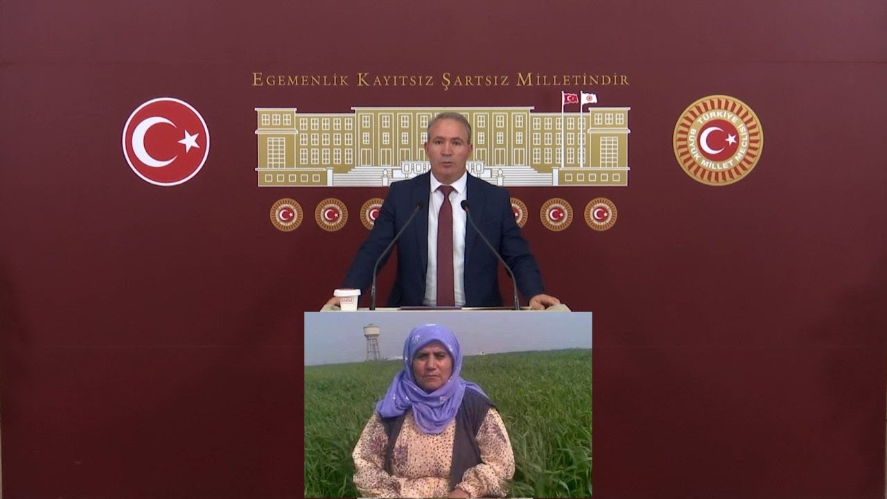 Sokağa Çıkma Yasakları | Siyasi Mahpusların Özgürlüğünü Engelleme Kurulları | Hapishaneler | #TBMM