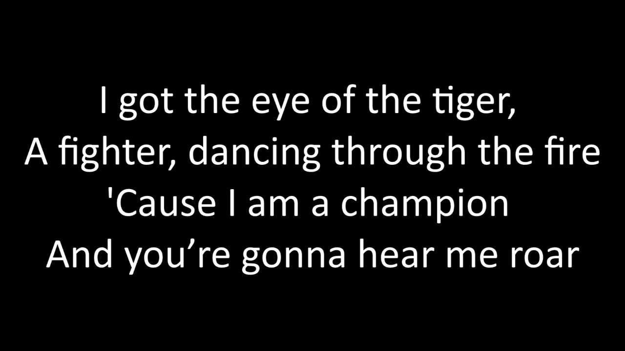Timeflies - Roar Lyrics