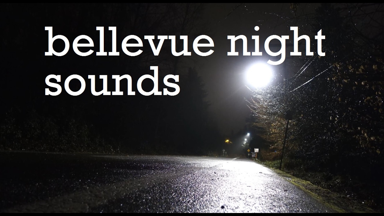 Ambient City Night Sounds in Bellevue, WA