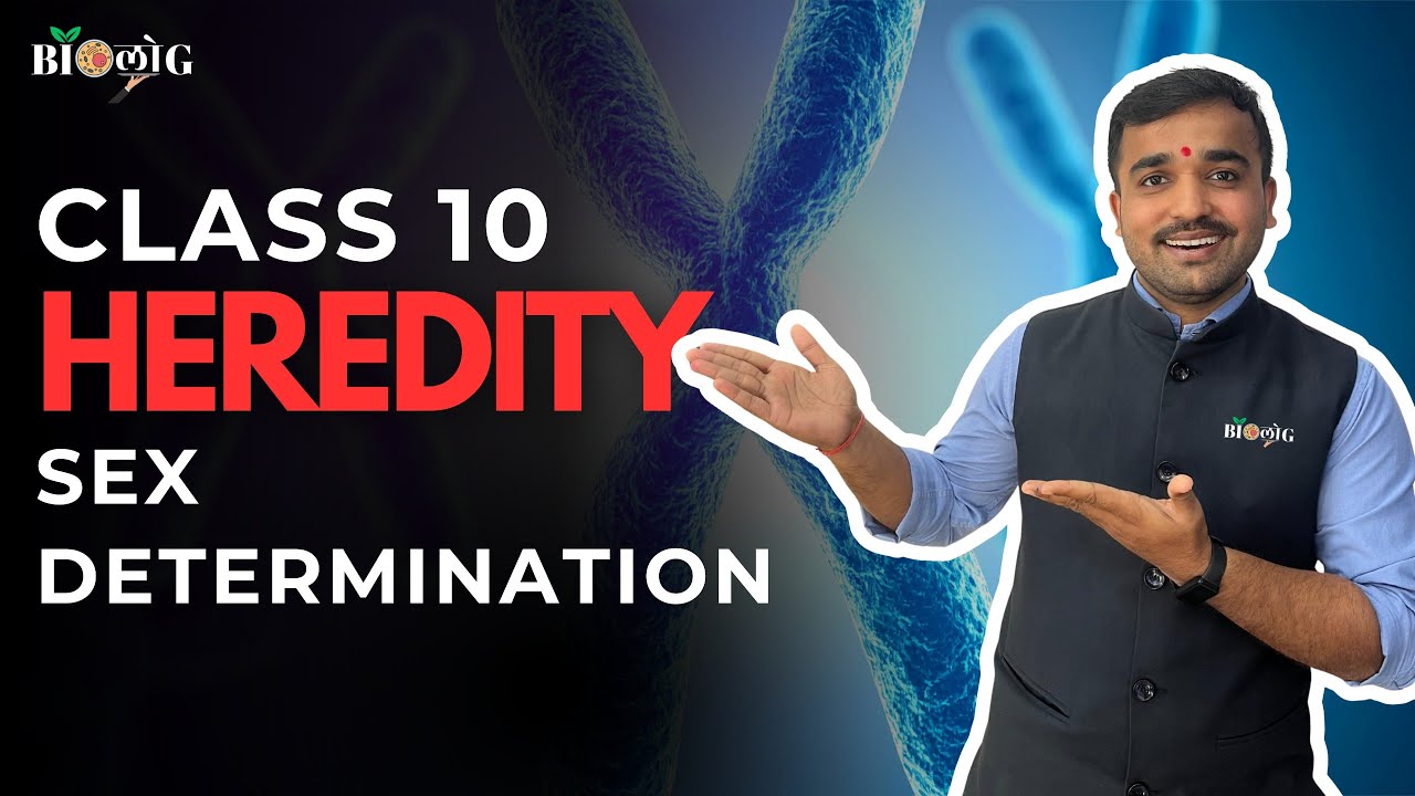 Sex Determination Explained 🧬 | Heredity Class 10 | Boy or Girl? Science | Board Exam Sure Shot