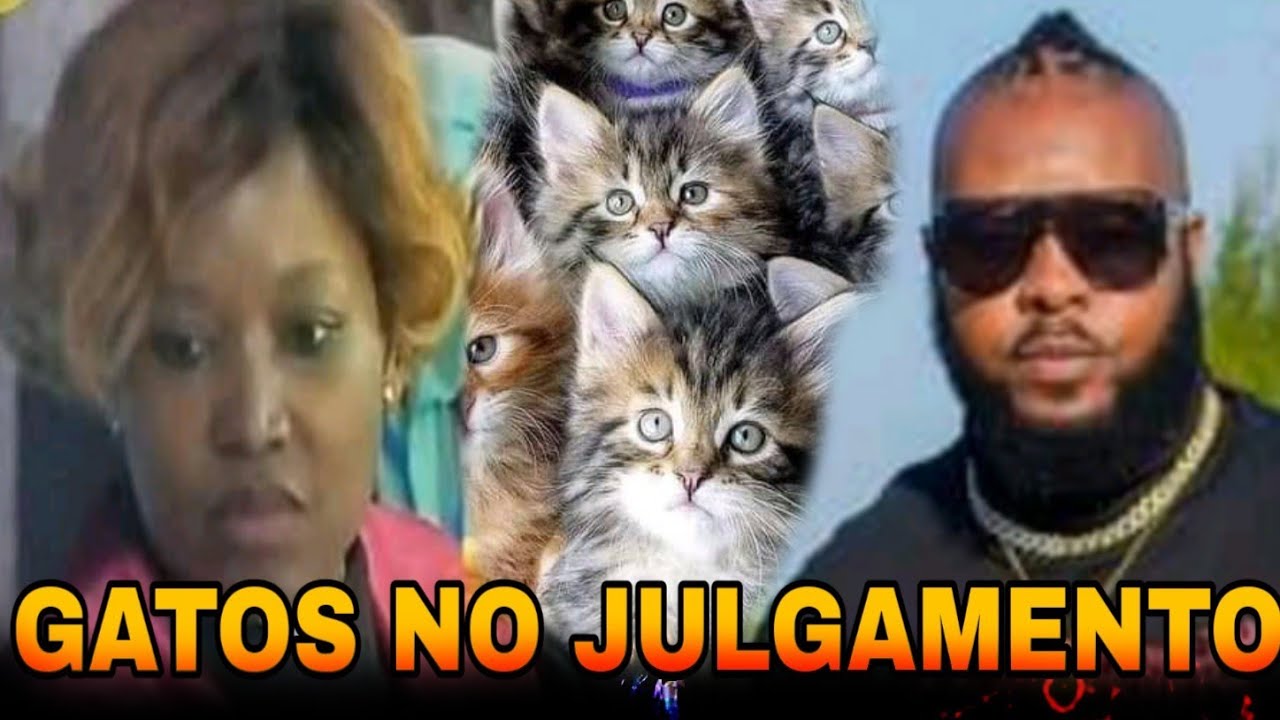 Ametramo Explica a Presen&ccedil;a De Gatos No Julgamento & Mr Cuca Declara-se &agrave; Esposa