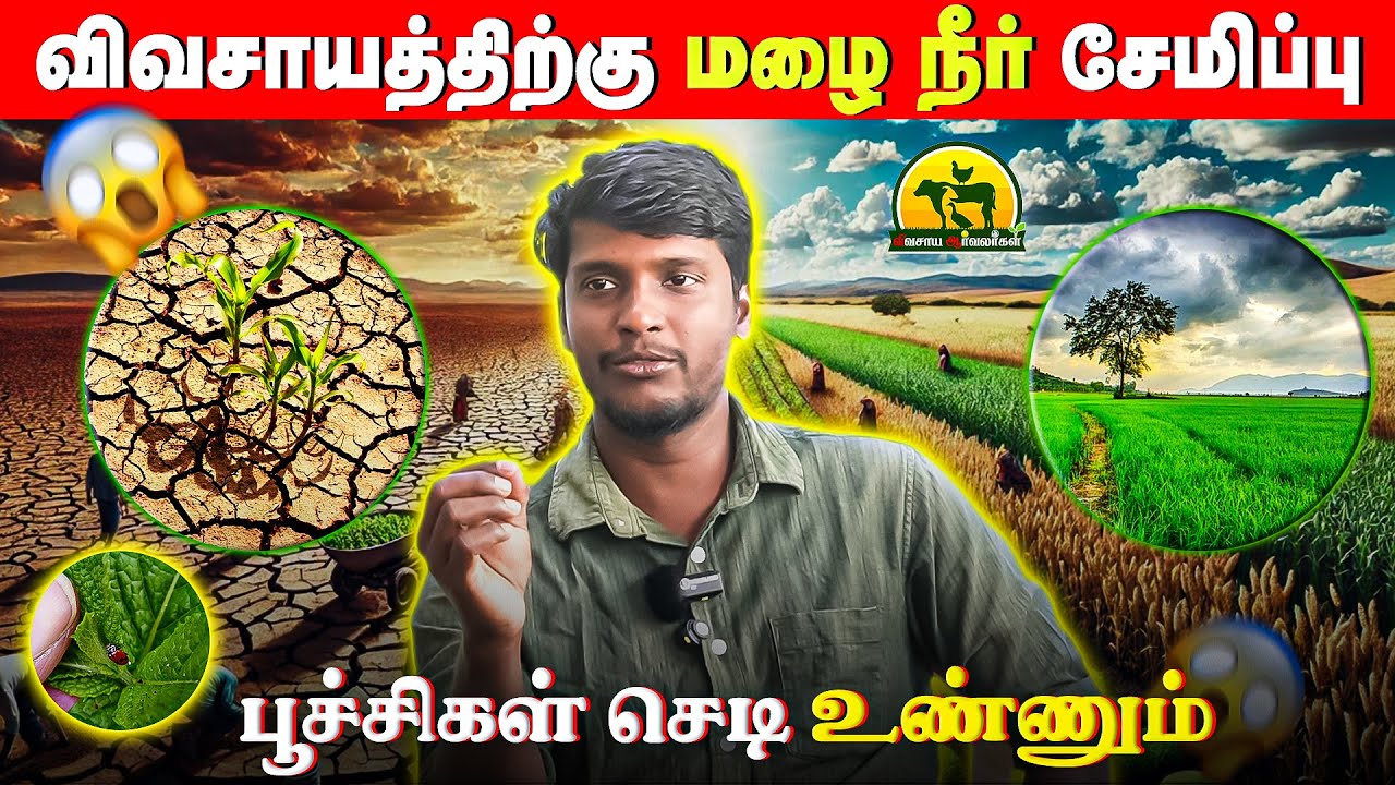 மழைநீரை சேமித்து விவசாய வளத்தை உயர்த்த எளிய வழிகள்! 