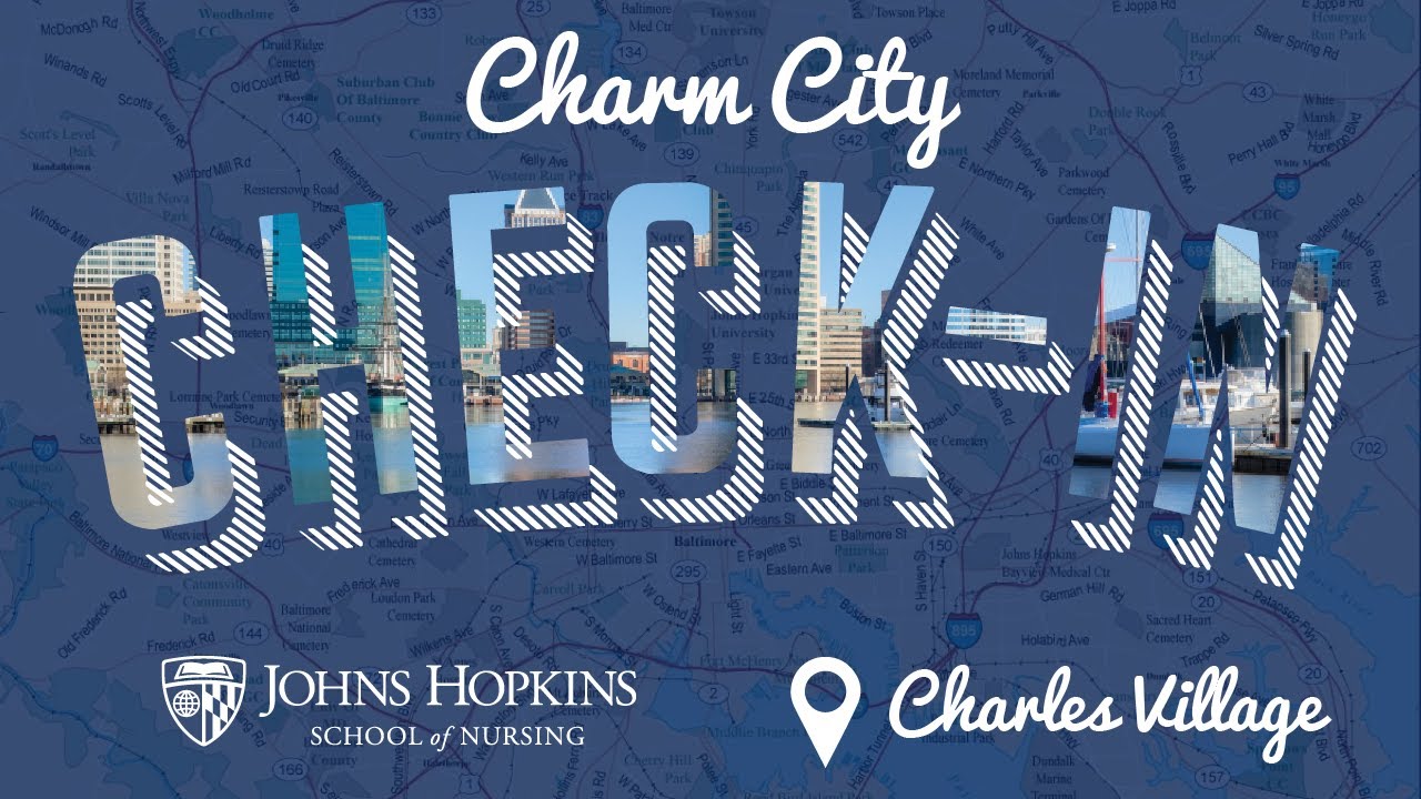 Charles Village, Baltimore Museum of Art &mdash; Charm City Check-In