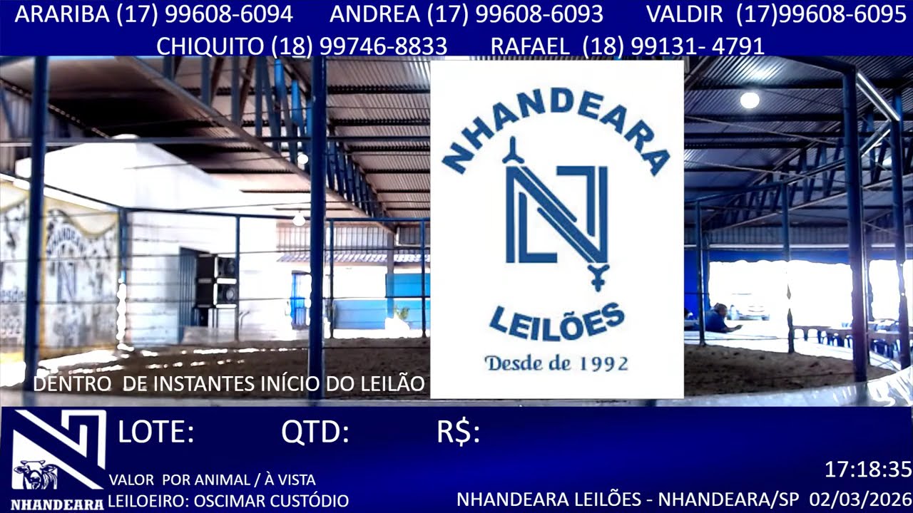 LEILÃO NHANDEARA LEILÕES - 02/03/2026 - NHANDEARA/SP - AO VIVOBOI@GADOHJ