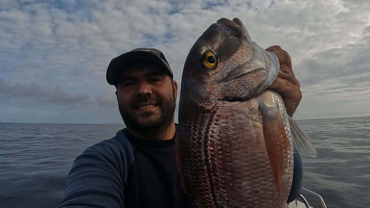 Pesca aos pargos e mais/Fishing Snapper and more #azores